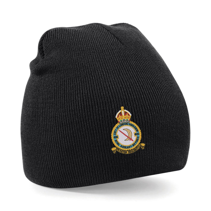 No 600 Squadron RAF Beanie Hat