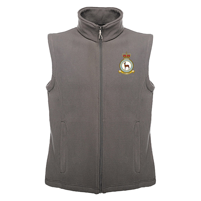 RAF School of Physical Training Fleece Bodywarmer